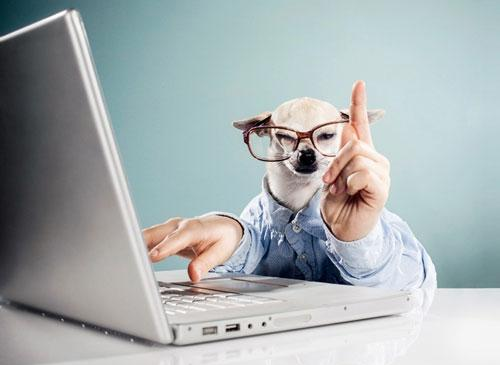 網(wǎng)站建設與網(wǎng)站優(yōu)化,新手需知的10條知識點