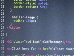 當程序員寫不出代碼了，該怎么辦？